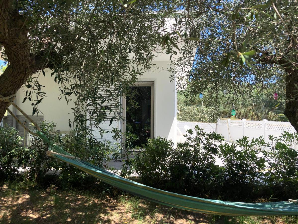La Casetta Tra Sassi E Ulivi B&B Матера Екстериор снимка